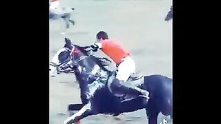 Polo game