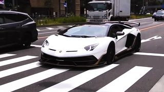 Only after looking at it will you know what love at first sight is.