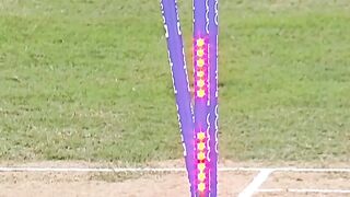 Shaheen Shah Afridi Bowling And Love