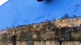 Video 61