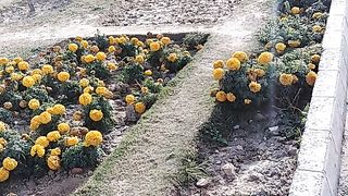 Mumtaz City Airport Road Islamabad Pakistan