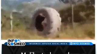 Как называется этот видео?