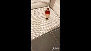 Crazy&Smart Parrots of TikTok Compilation ????