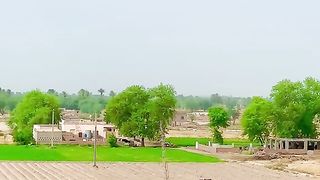 پنجاب دا کلچر