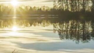 nature 9