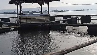 Floating Net Pool