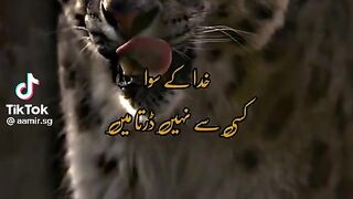 Poetry 171