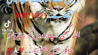 Poetry 172