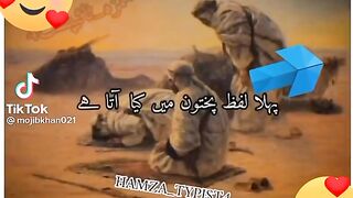 Pakistan king 2