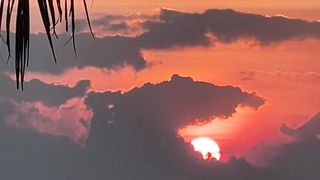 Nature video 5