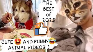 CUTE - AND FUNNY- ANIMAL VIDEOS! THE BEST of 2023
