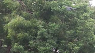 Scenery 2