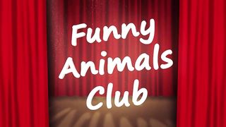 Funniest Animals Video - Best Cats???? and Dogs???? Videos of 2023 Compilation!#1