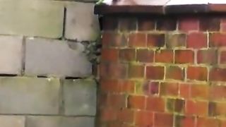 funny# cat video# so cute cat#