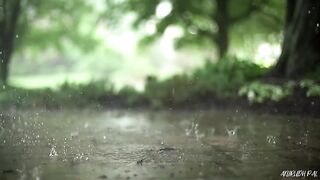 Barish 4