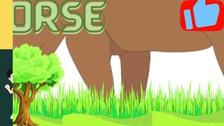 Animals for Kids  Farm animal  @kidzHome ​