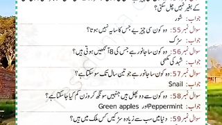 Information 7