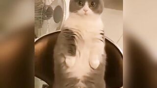 Funny videos 54