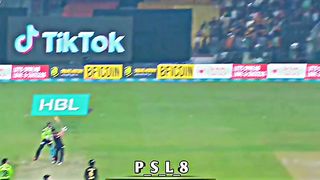 Circkat video