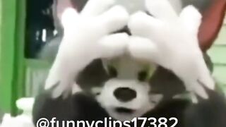 Bro Got Scammed.Funny Tiktok Compilation.#shorts