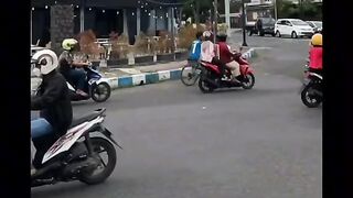 Editing Android
