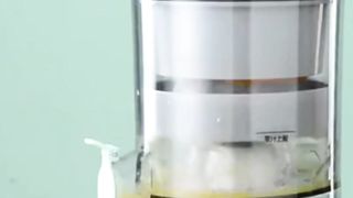 Portable Juicer