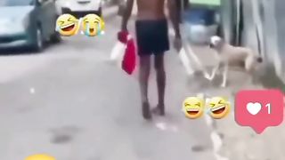 Best funny video 23
