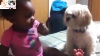 Funny Cats???? #06 Funniest Videos 2023 #funnycats #funnyDogs