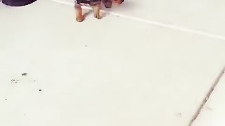 Funny animal 8