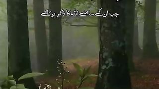 Quran recitations..❤❤❤