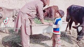Funny video 505