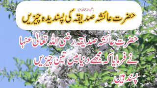 حضرت عائشہ صدیقہ رضی اللہ تعالیٰ عنہا کی پسندیدہ چیزیں