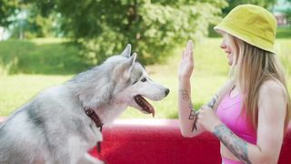 A dog is mans’ best friend of all times
