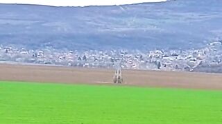 ДА ЖИВЕЕШ В СЕЛО ДРАГАНОВО