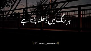 Shair 2