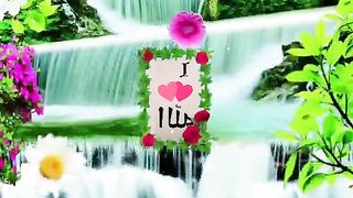 Love Allah