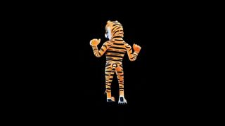 Funny Lion and Tiger Videos Weekly Compilation | Funny Pet Videos/Cute Baby Tiger Videos