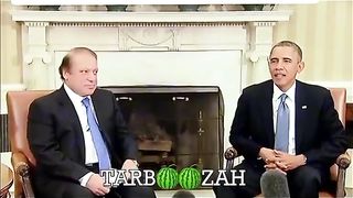 Funny video 506