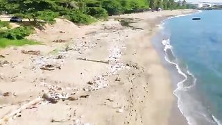 Mr beast new video i cleand the world dertest beach