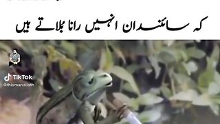 funny video 55