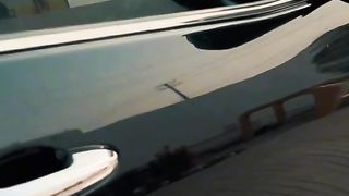 nature video 3