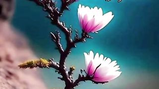 سورۃ التغابن