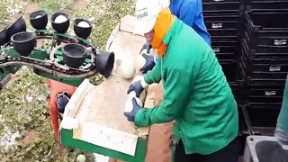 New and  Modern Technology Agriculture Machines inventions