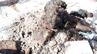 پودے کی اچھی گروتھ کے لیے اچھی مٹی مٹی تیار کرنے کا طریقہ پہ