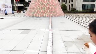 Amazing video 43