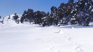 cold weather