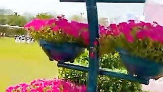 snake ⛎#shortvideo#Malikpappu9346