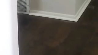 Funny cat 30