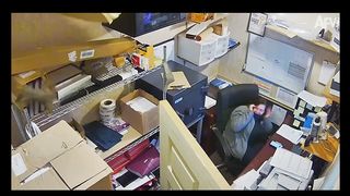 Best Security Cam FAILS That Go Hard! ???? Funny moments