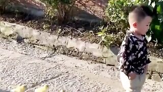 CHICKS FOLLOW THE BABY.